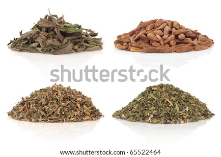 Medicinal herbs of balm of gilead, damiana, plantain and violet leaves and flowers also used in magical potions. Isolated over white background.