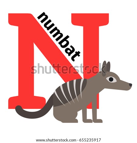 English animals zoo alphabet with letter N. Numbat illustration