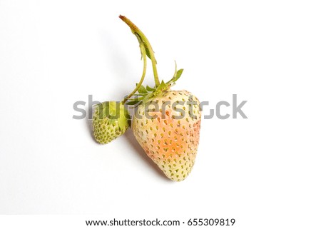Branch with two green strawberries on a white background in the spring