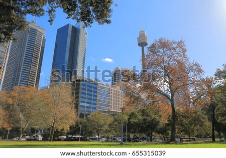 Hyde park cityscape in Sydney Australia
