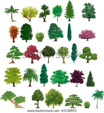 set of different trees