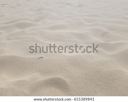 sand on the beach . background texture