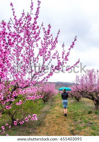 Girl with an umbrella in a blooming peach orchard