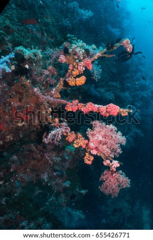 soft coral deep blue ocean background