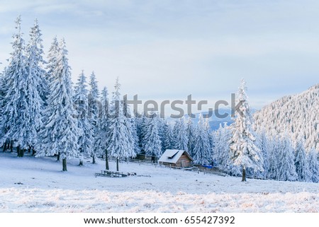 Cabin in the mountains in winter. Mysterious fog. In anticipation of holidays. Carpathians. Ukraine, Europe.