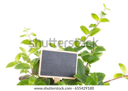 Blackboard sign over green leaves branch isolated on white background