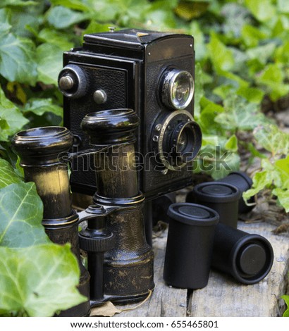 Retro camera and binoculars and photographic films in a garden with ivy.