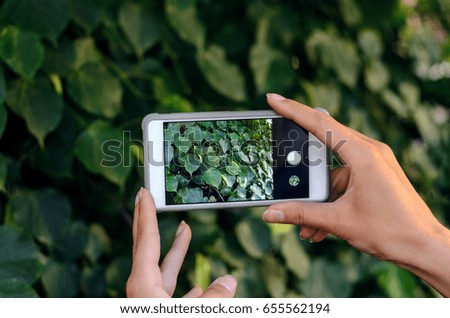 Female hands hold a smartphone for photography on a background of dense thickets of bush. Taking the texture of nature for memory while traveling. Taking a picture with a smart phone concept