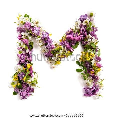 The letter "M" made of various natural small flowers.
