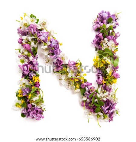 The letter "N" made of various natural small flowers.
