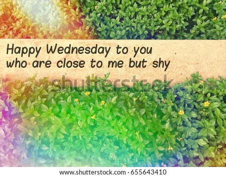 quotes images concept: Happy wednesday to you who are close to me but shy