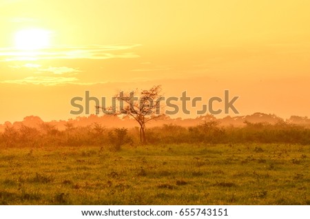 Activity in the Baluran National Park located in East Java, Indonesia.  Royalty-Free Stock Photo #655743151