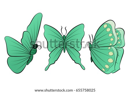 The set of three beautiful butterfly green. Spring collection vector illustration.