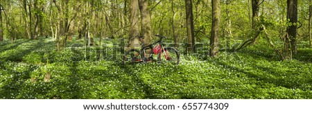 Spring summer are on a journey on a bicycle ecological sports transport a lot of fresh herbs and delicate fragrant flowers Anemones against a background of tall trees and clean air sign ecology
