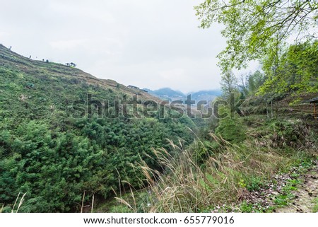 travel to China - green hills around Dazhai village in area of Longsheng Rice Terraces (Dragon's Backbone terrace, Longji Rice Terraces) in spring season