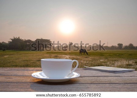 a selective focus picture of a cup of coffee on wooden table with organic green rice field at background.