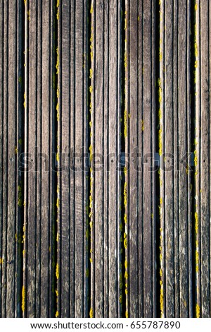 Of moss colored wooden boards as a background