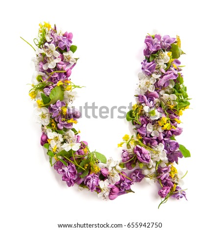 The letter "U" made of various natural small flowers.
