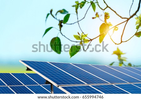 Solar panels and outdoor sky and trees