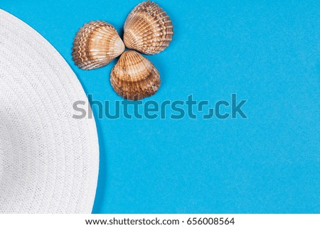 White female hat with seashells on a blue background