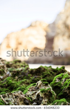 Moss covering the rocks along the beaches of Lagos, Portugal