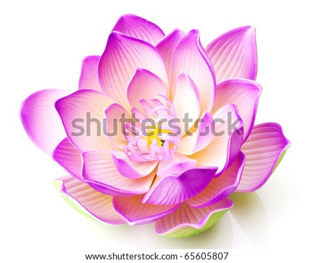 Lotus flower Royalty-Free Stock Photo #65605807
