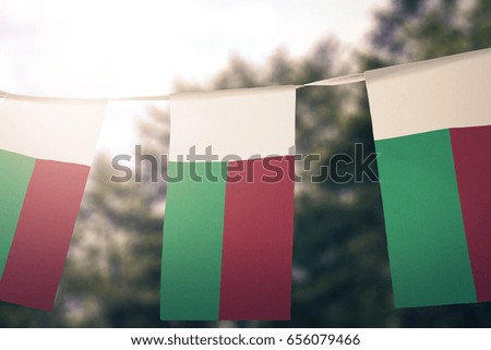 Madagascar flag pennants