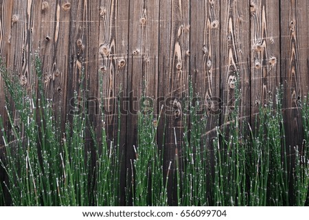 Wooden wall with plant decorations