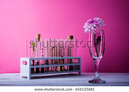 Flower glass in laboratory on ping background.