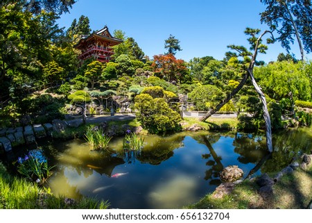 Japanese garden at golden gate park, San Francisco, California Royalty-Free Stock Photo #656132704