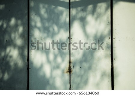 door old wood background.