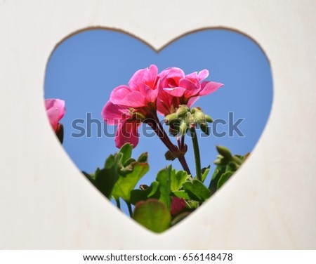 Flowers in heart frame. Focus on flowers. Blue sky background.