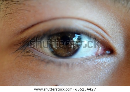 macro picture of brown eyes