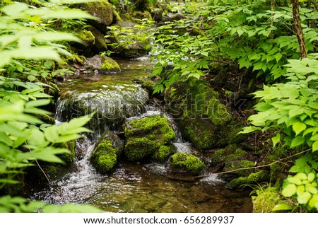 landscape, a small waterfall on a mountain river, Wallpaper, green