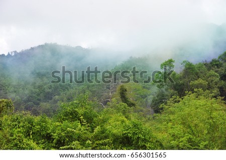 Tropical green mountains with clouds horizontal background