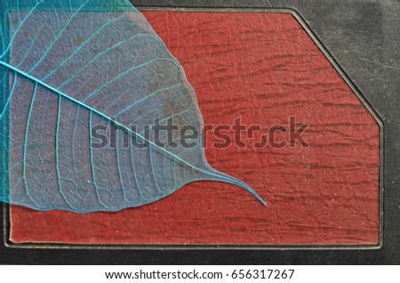 Blue vein leaf of bodhi on old album cover