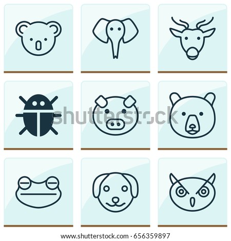 Zoo Icons Set. Collection Of Beetle, Night Fowl, Grizzly And Other Elements. Also Includes Symbols Such As Bear, Frog, Moose.