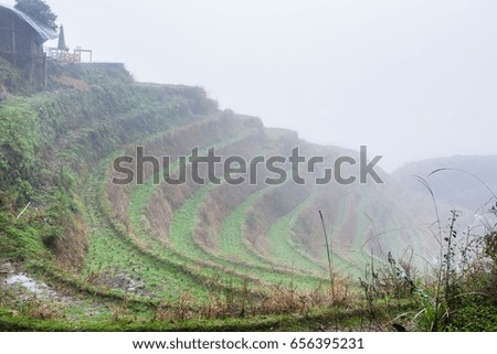 travel to China - mist on rice terraced fieilds from viewpoint Music from Paradise in area of Dazhai Longsheng Rice Terraces (Dragon's Backbone terrace, Longji Rice Terraces) country in spring