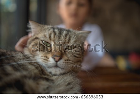 Sluggish Cat 