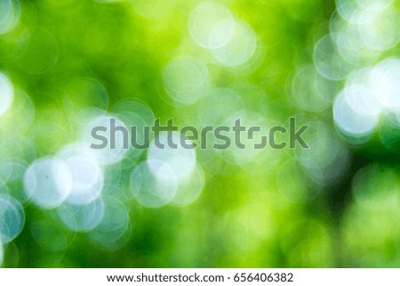 Natural green blurred background, Bokeh green leaves.