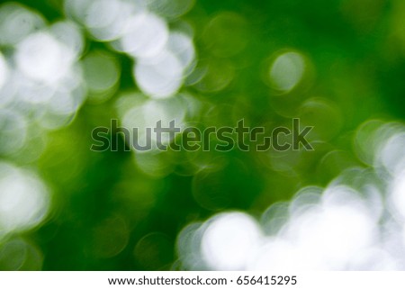 Natural green blurred background, Bokeh green leaves.