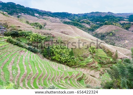 travel to China - view of terraced fields and cottage in Tiantouzhai village in area Dazhai Longsheng Rice Terraces (Dragon's Backbone terrace, Longji Rice Terraces) country in spring day