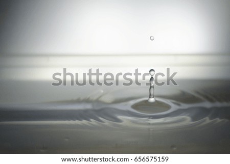 Water Droplet in action captured with steady light and high shutter speed. 
