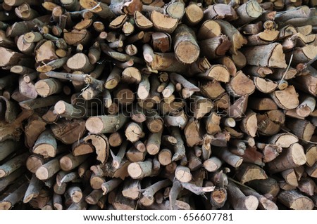 A pile of cut tree Pile of wood logs storage for industry