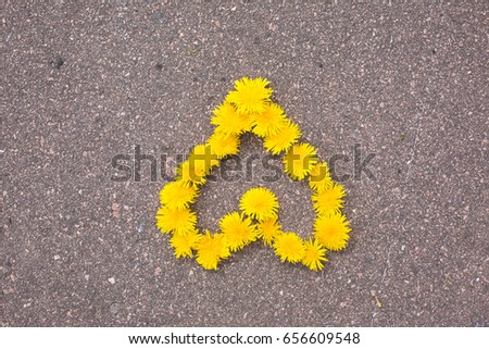 A heart of dandelion flowers on the asphalt.