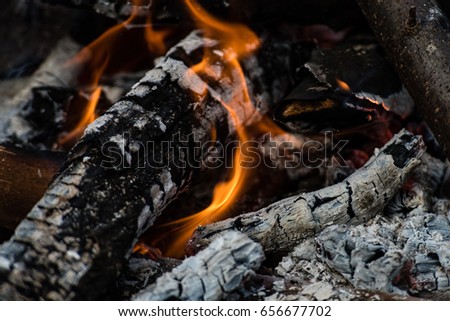 woods are burning in fireplace, warm, heat, fire in darkness