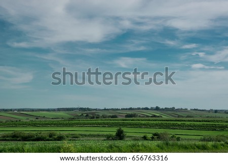 Fields and sky in summer