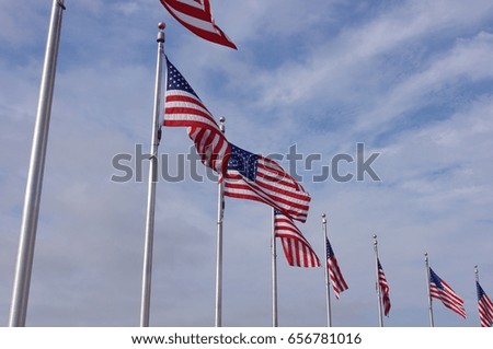 American Flags Flowing in the Winds of the United States Capital