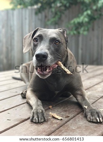 A girl and her stick Royalty-Free Stock Photo #656801413