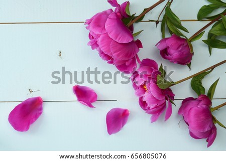 Purple peony on old empty copy space wooden boards. Place for text. Top view background